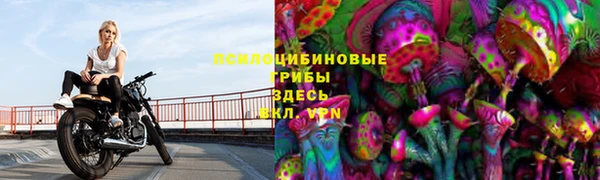 прущие грибы Кинешма