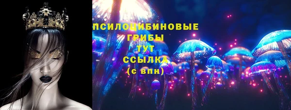 ГАЛЛЮЦИНОГЕННЫЕ ГРИБЫ Киренск
