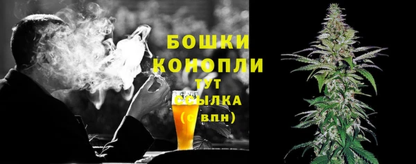 прущие грибы Кинешма