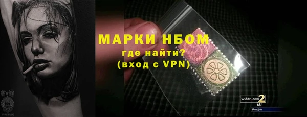 прущие грибы Кинешма