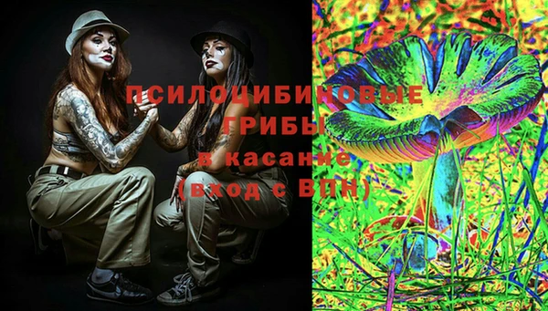 стаф Киреевск