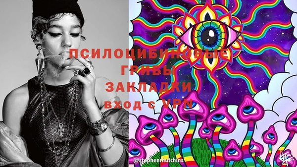 ГАЛЛЮЦИНОГЕННЫЕ ГРИБЫ Киренск