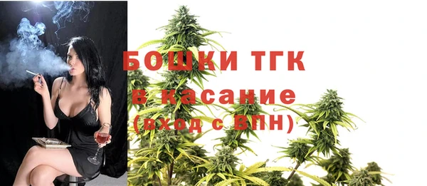 прущие грибы Кинешма